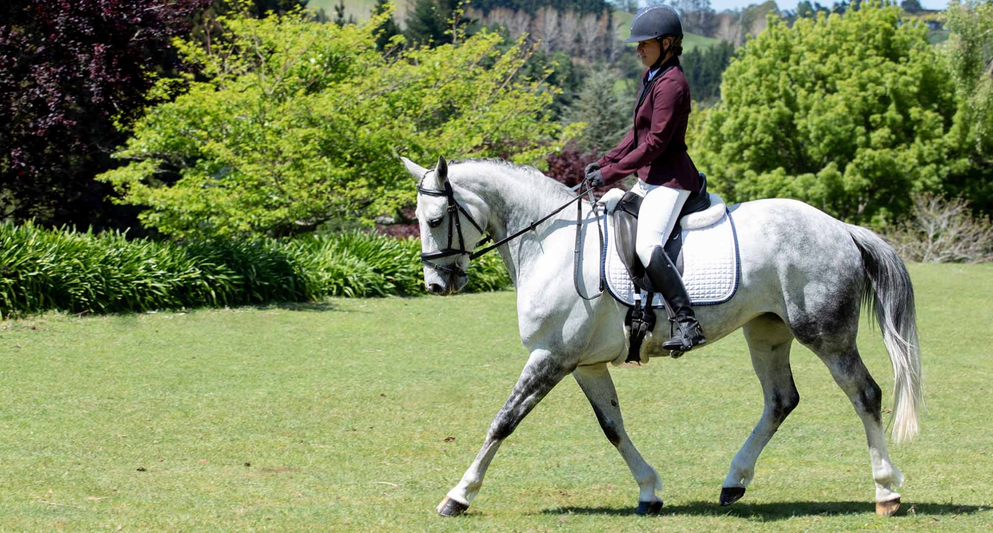 ladies horse jackets